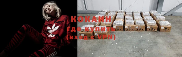 PSILOCYBIN Баксан