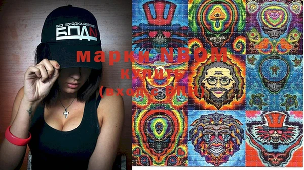 PSILOCYBIN Баксан