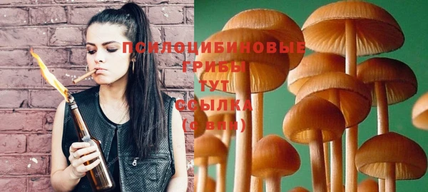 молекула духа Володарск