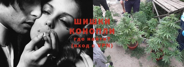 PSILOCYBIN Баксан