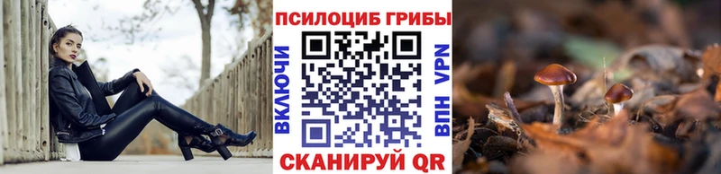 ОМГ ОМГ ONION  Котельниково  Галлюциногенные грибы Magic Shrooms 